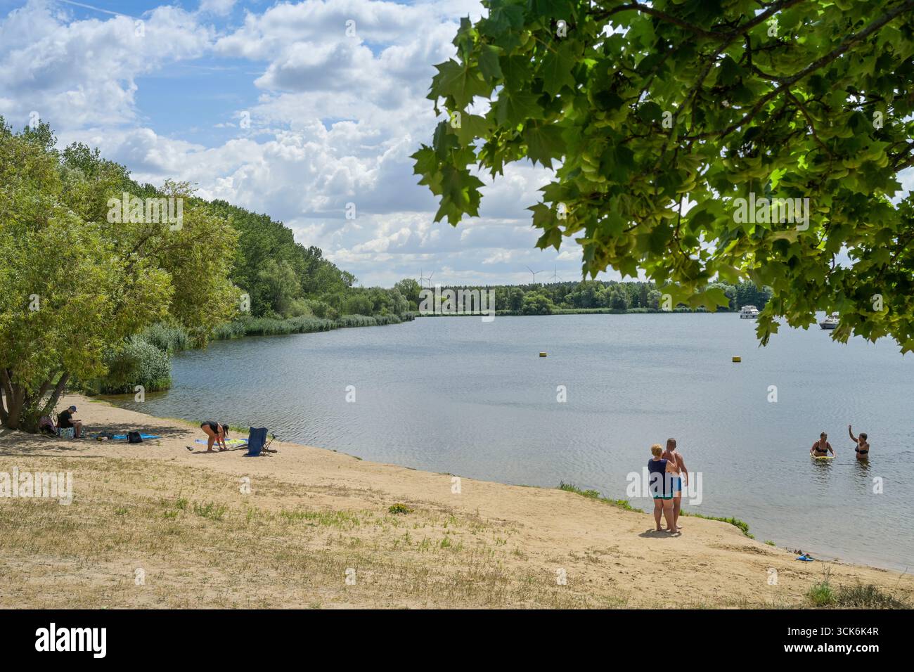 Niegripper See, Landkreis Jerichower Land, Saxe-Anhalt, Deutschland Banque D'Images