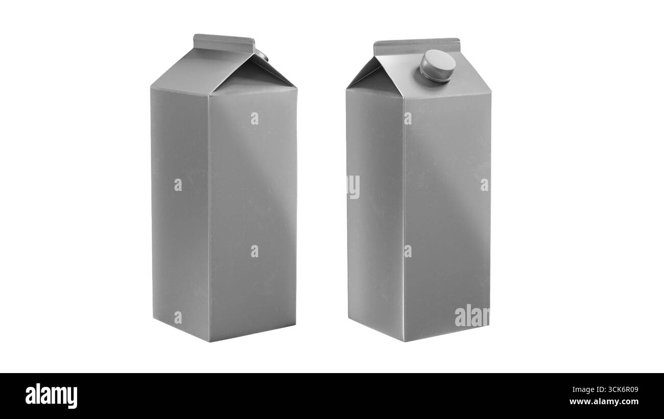 Deux cartons de lait gris au design minimaliste, adaptés à l'emballage des boissons. Banque D'Images