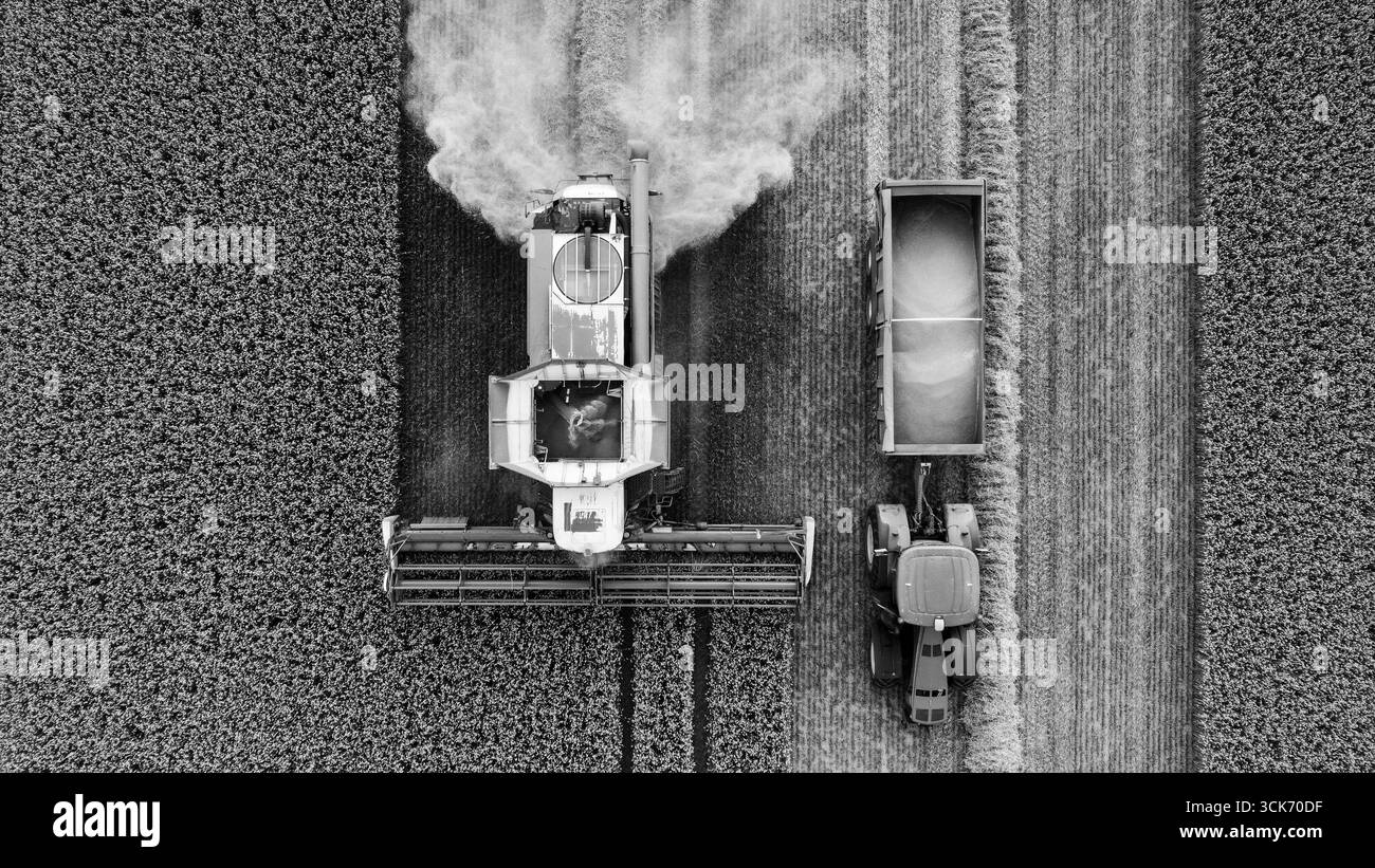 Vue aérienne de la moissonneuse-batteuse et du tracteur récoltant le blé Banque D'Images Vue aérienne de la moissonneuse-batteuse et du tracteur récoltant le blé Banque D'Images