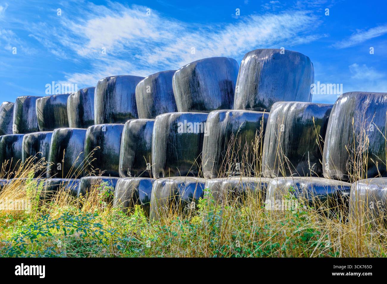 Balles de paille/foin sous emballages plastiques empilées pour l'hiver - centre de la France. Banque D'Images