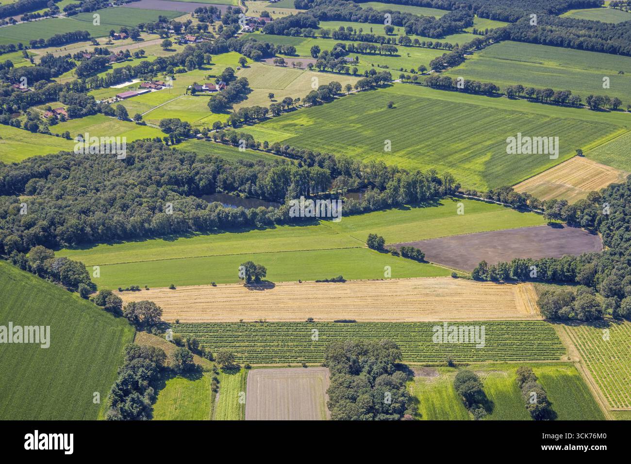 Vue aérienne, prairies et champs et fermes le long de la route fédérale B58, zone boisée avec ASV Rotfeder Alpen e.V. Teich-Anlage Zum Gewaesserwart Angelver Banque D'Images