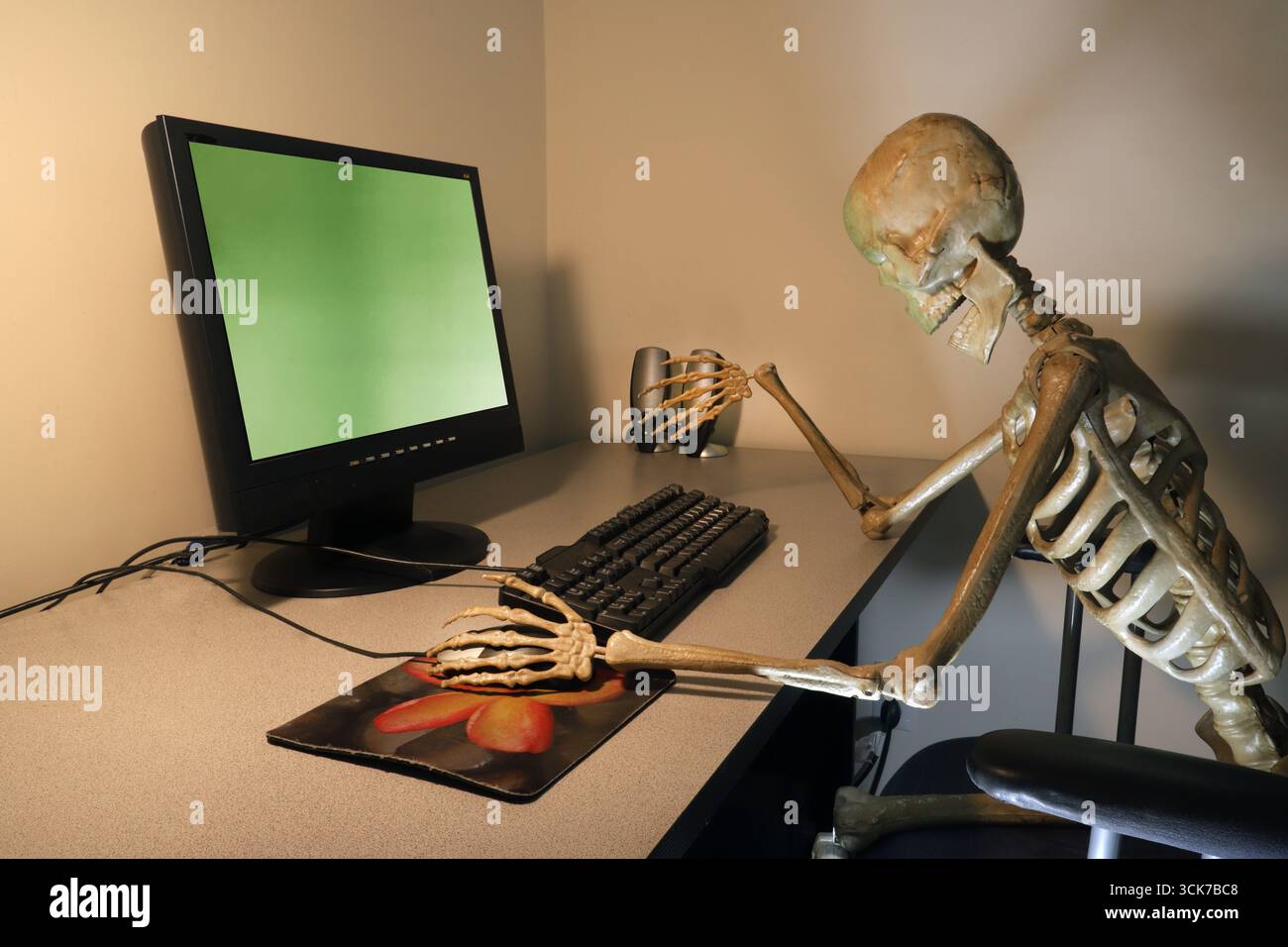 Un squelette humain devant un bureau et un ordinateur, illustrant ce qui arrive aux gens quand ils passent trop de temps câblés sur Internet. Banque D'Images