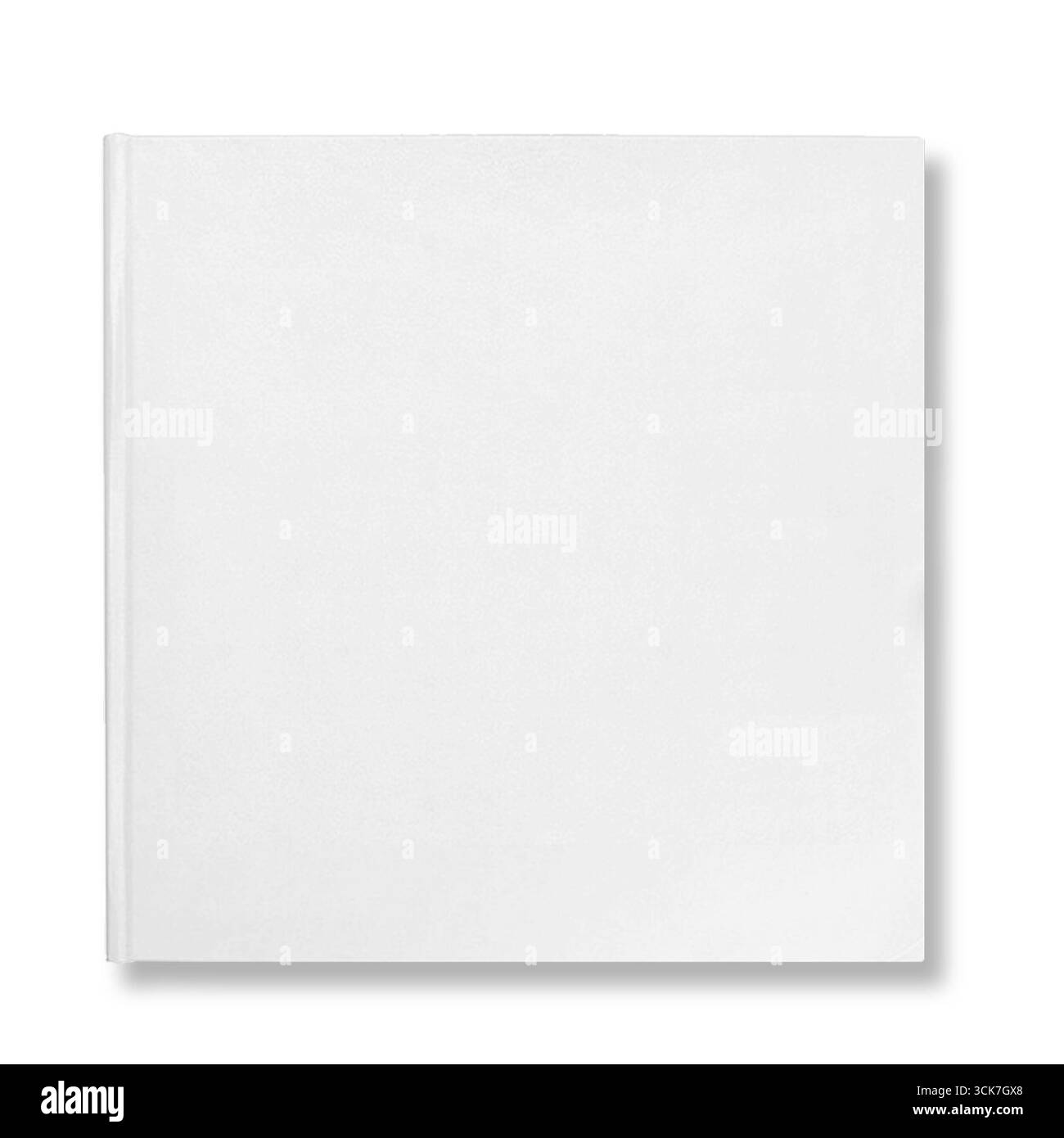 Une couverture de livre blanc vierge, suggérant un potentiel de créativité ou de création de contenu. Banque D'Images