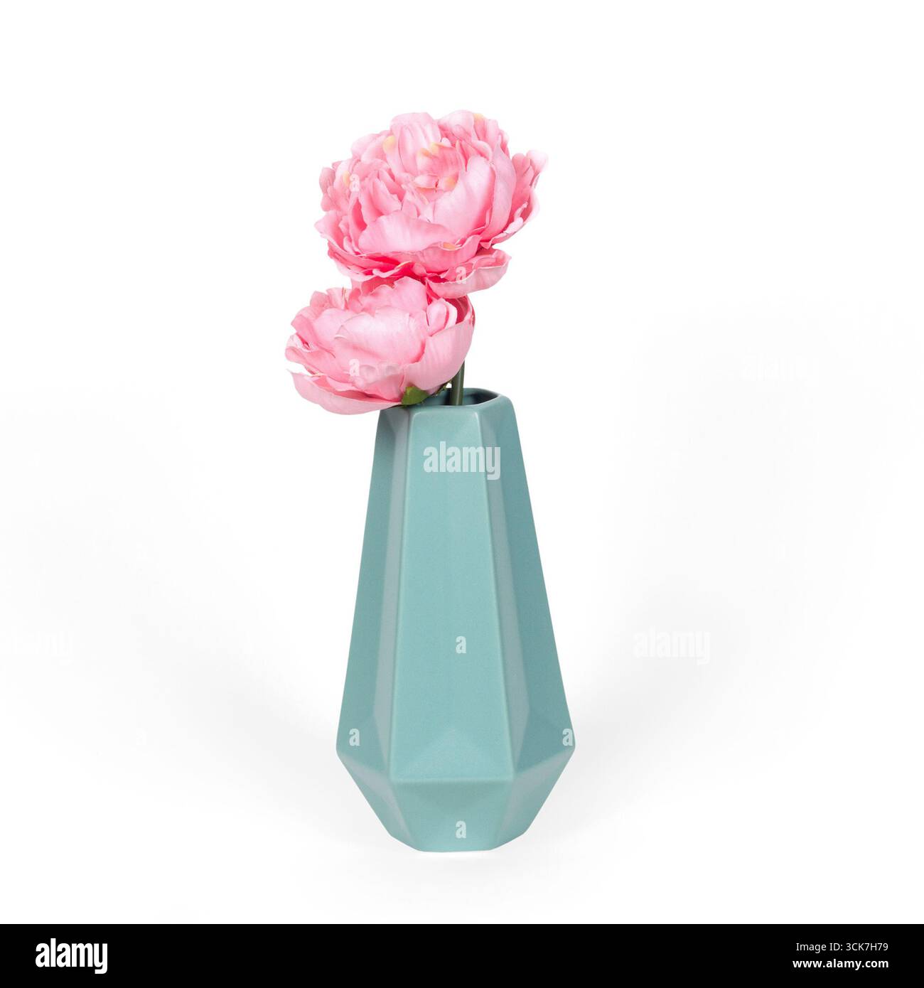Un vase géométrique moderne tenant deux fleurs de pivoine roses, ajoutant une touche d'élégance à n'importe quel espace. Banque D'Images