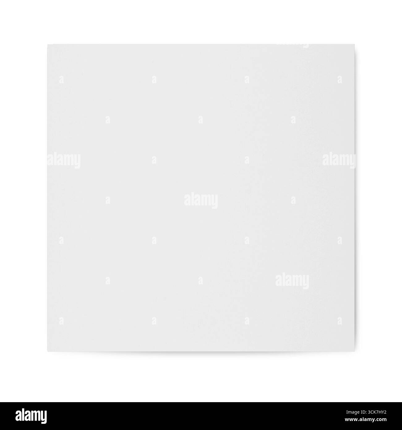 Un carré blanc vierge, suggérant un design minimaliste ou une toile vide pour la créativité. Banque D'Images