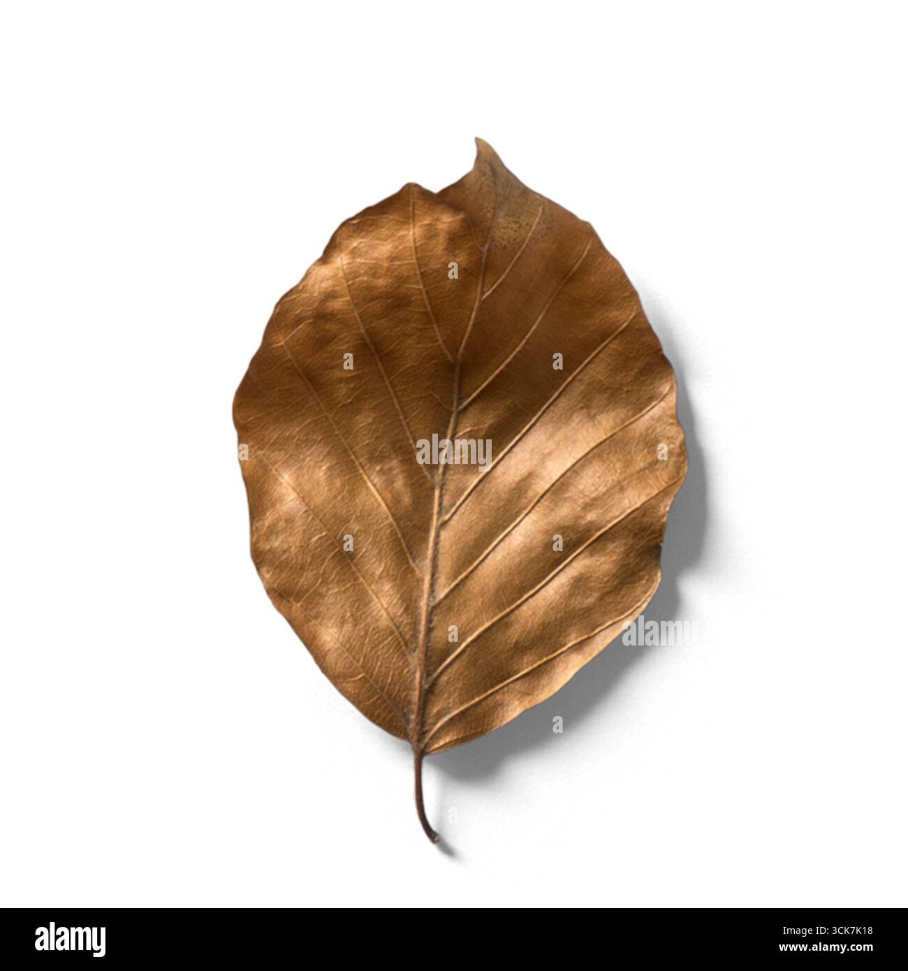 Une feuille de bronze métallique affichée sur un fond blanc, mettant en valeur sa texture et sa forme complexes. Banque D'Images