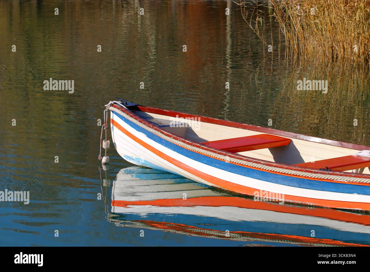 Bateau à rames coloré sur la rive du lac avec de l'eau calme. Banque D'Images
