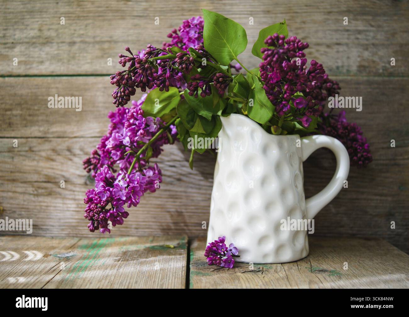 Fleurs lilas en pot en intérieur rustique Banque D'Images