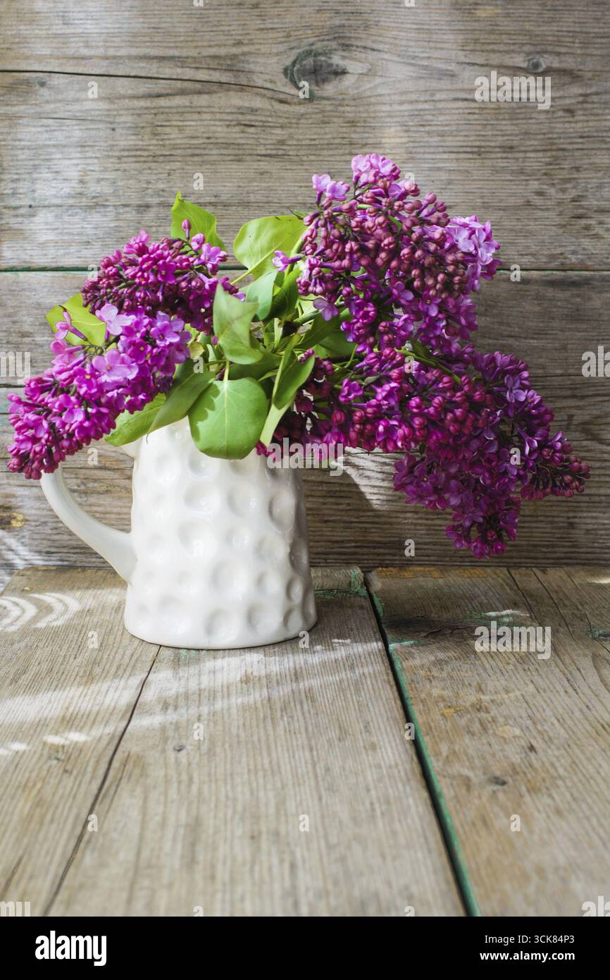 Fleurs lilas en pot en intérieur rustique Banque D'Images