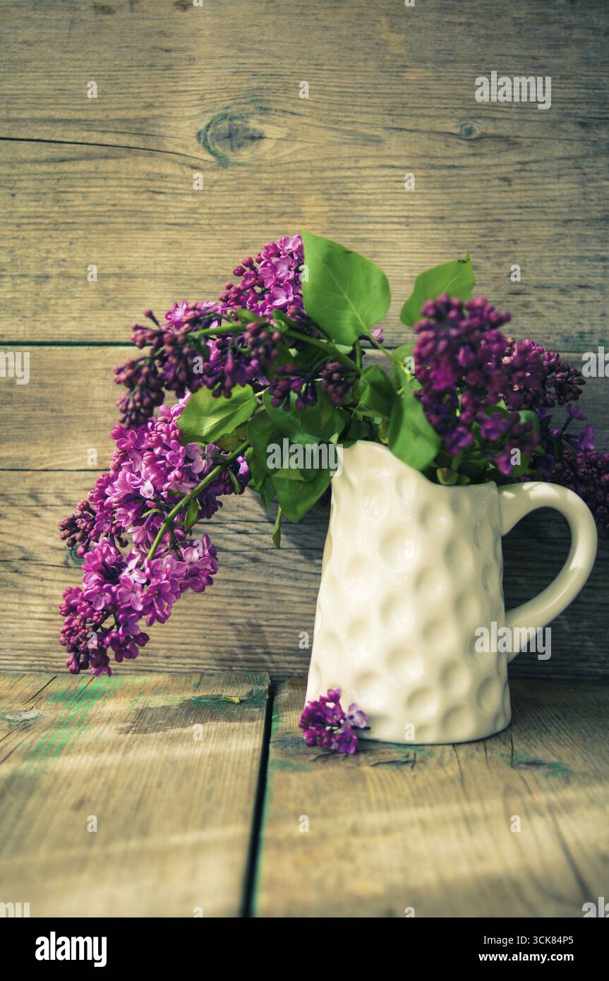 Fleurs lilas en pot en intérieur rustique Banque D'Images