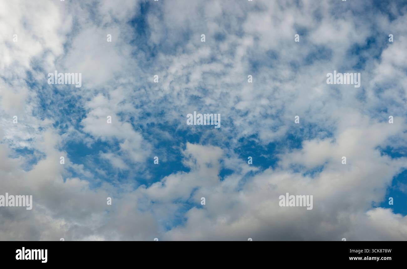 Nuages blancs mouchetés contre ciel bleu Banque D'Images