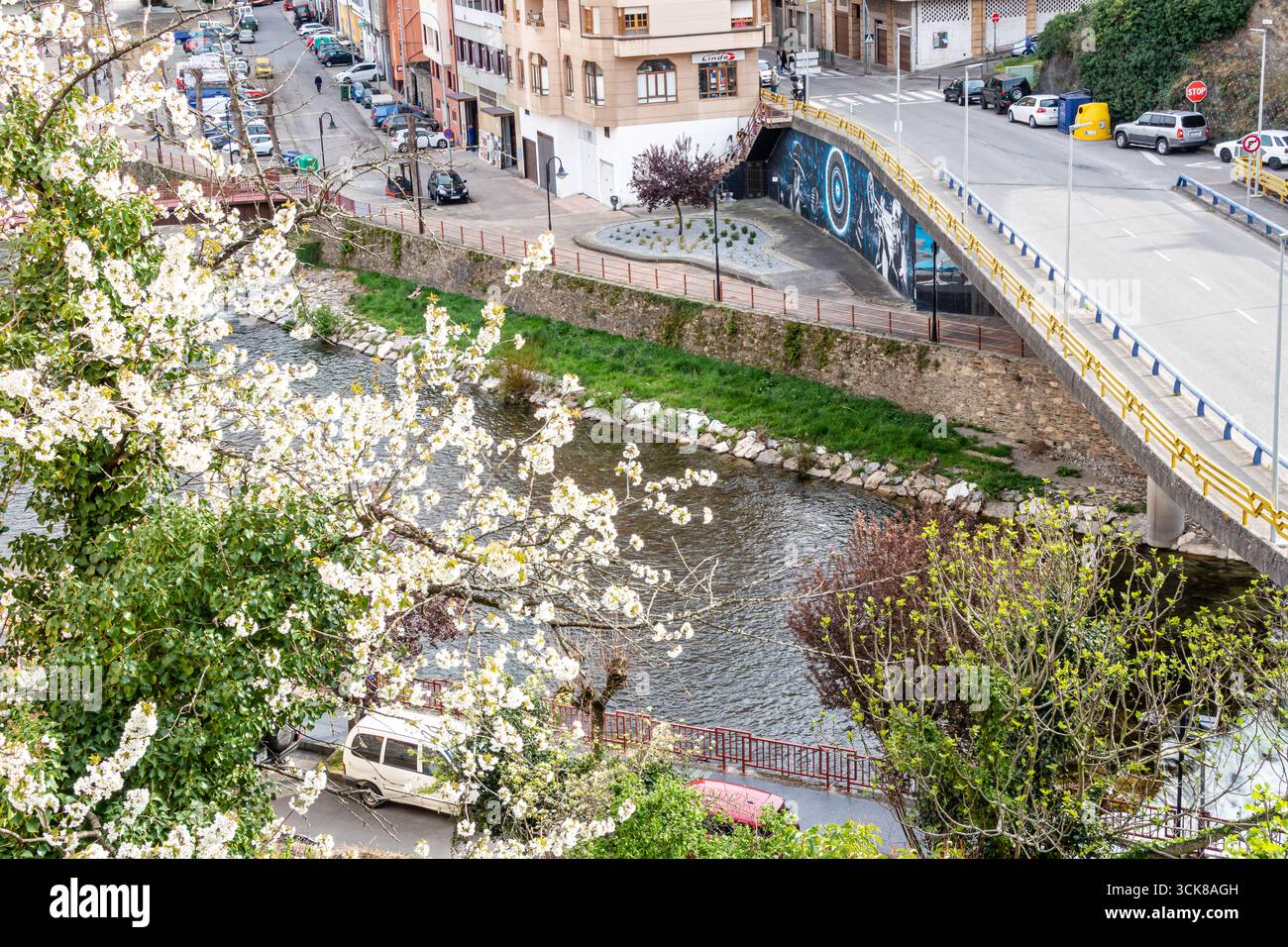 Bâtiments typiques et maisons dans la ville de Cangas del Narcea dans la vallée de Leitariegos, Asturies, Espagne Banque D'Images