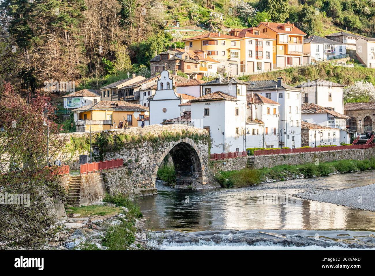 Bâtiments typiques et maisons dans la ville de Cangas del Narcea dans la vallée de Leitariegos, Asturies, Espagne Banque D'Images