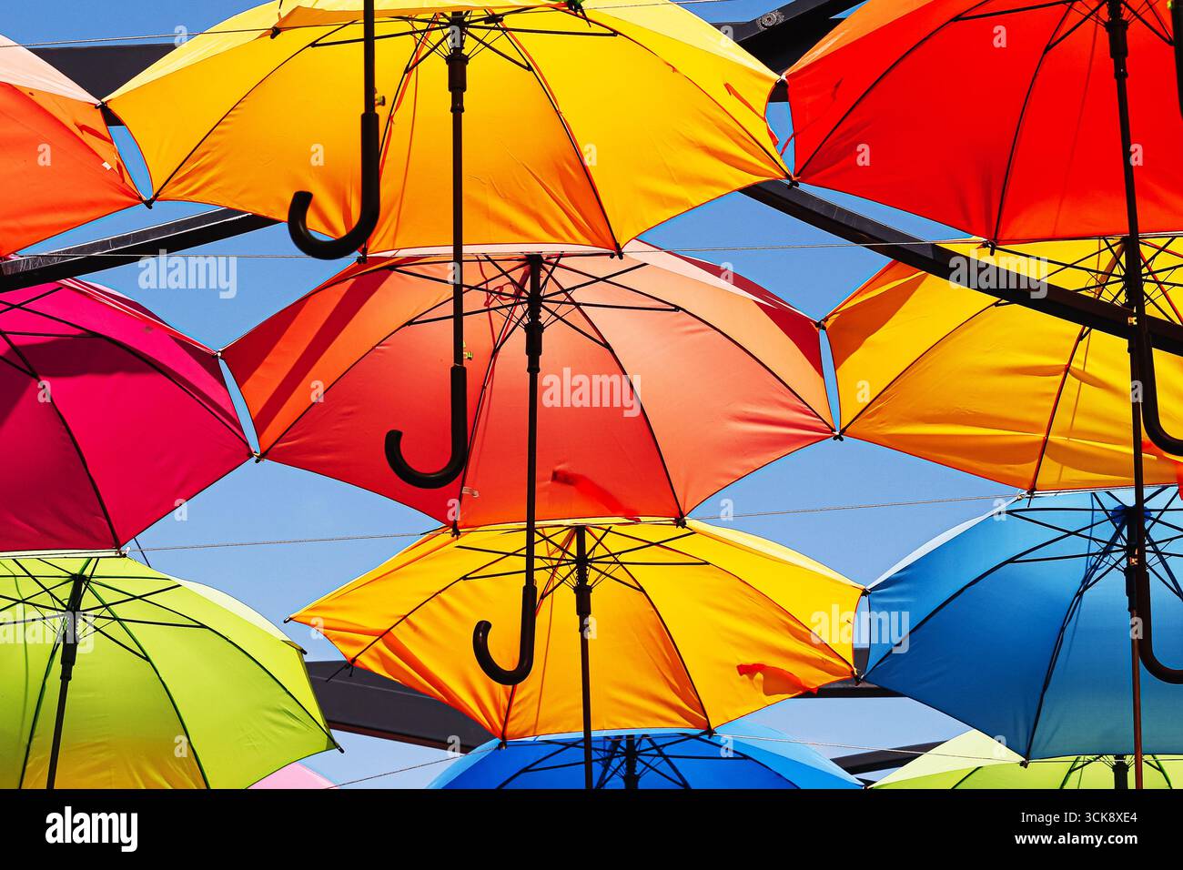 Parapluies colorés suspendus dans le ciel. Installation décorative au festival de rue. Parasols lumineux formant un motif vif. Décoratio artistique urbaine en plein air Banque D'Images