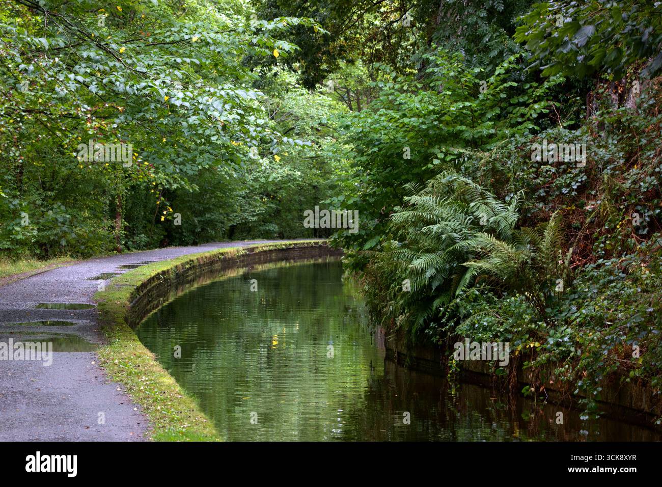Le canal de Llangollen est un canal navigable traversant la frontière entre l'Angleterre et le pays de Galles. Elle relie Llangollen au pays de Galles à Hurleston dans le Cheshire. Banque D'Images