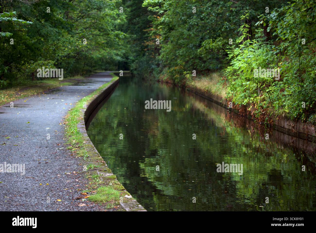 Le canal de Llangollen est un canal navigable traversant la frontière entre l'Angleterre et le pays de Galles. Elle relie Llangollen au pays de Galles à Hurleston dans le Cheshire. Banque D'Images
