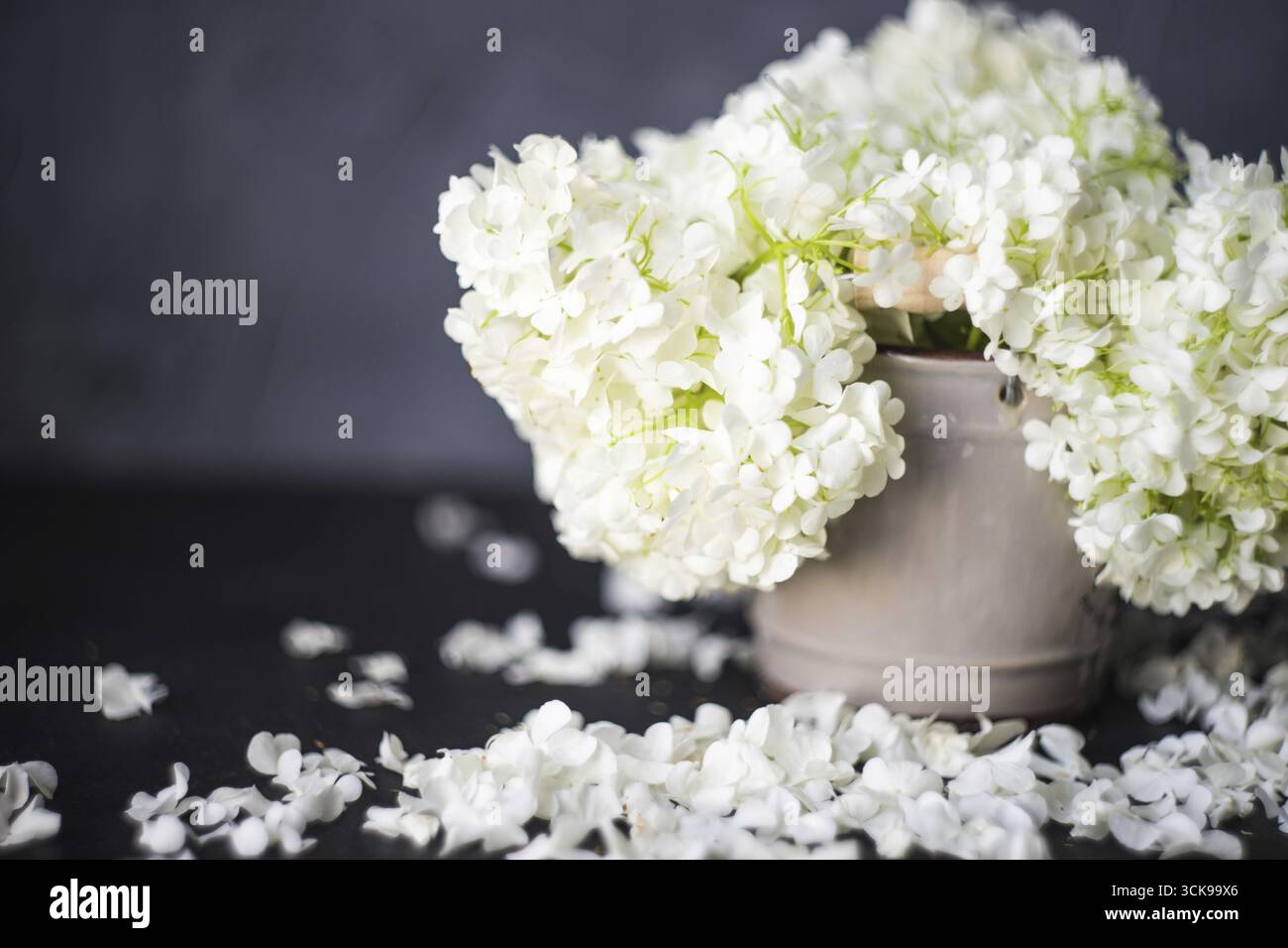 Composition de fleurs avec Viburnum opulus 'Roseum' dans un vase décoration d'intérieur Banque D'Images