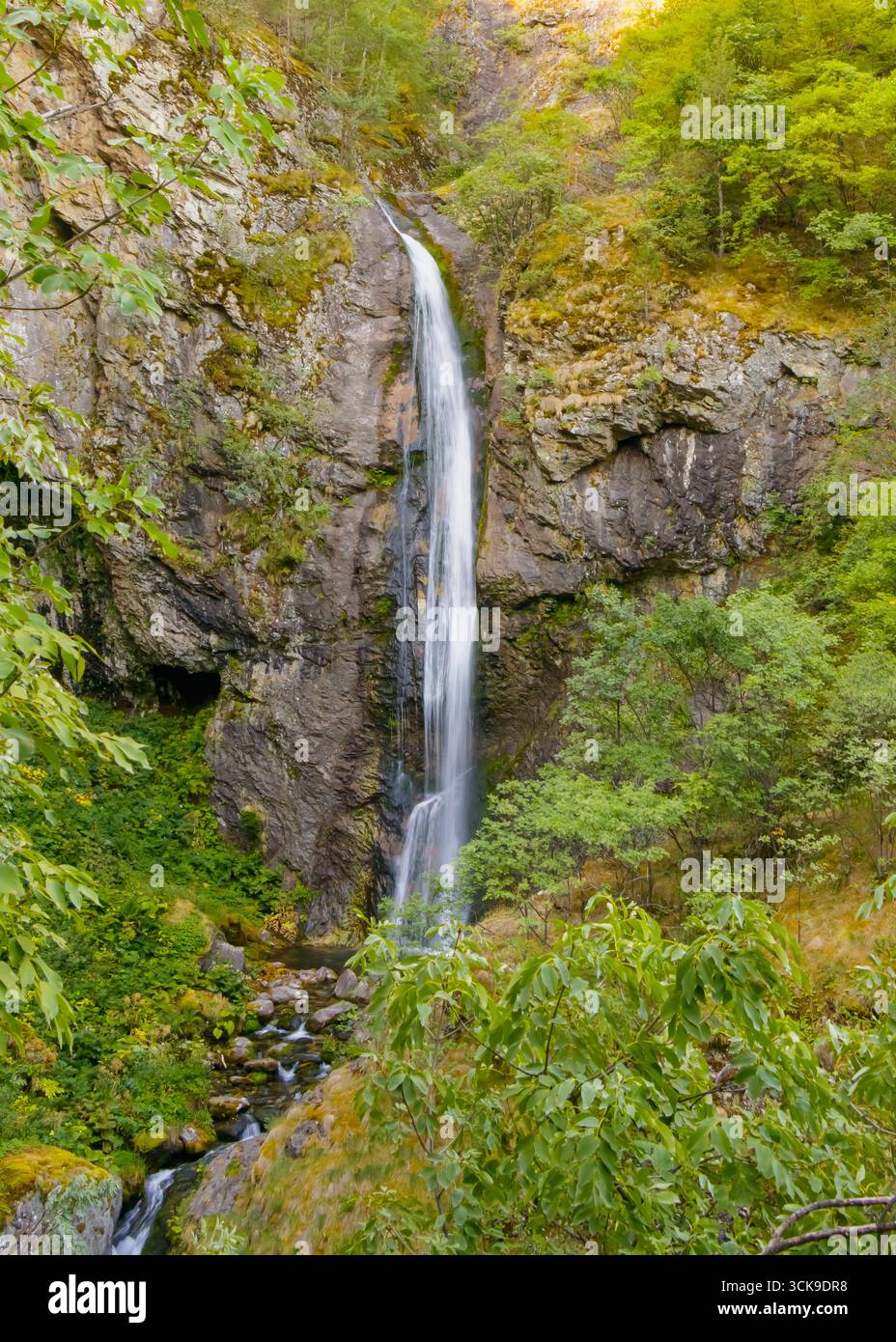 Majestueuse cascade haute coulant d'une falaise rocheuse abrupte entourée de forêt verte et de mousse. Paysage de montagne naturel symbolisant le pouvoir, la pureté, en Banque D'Images