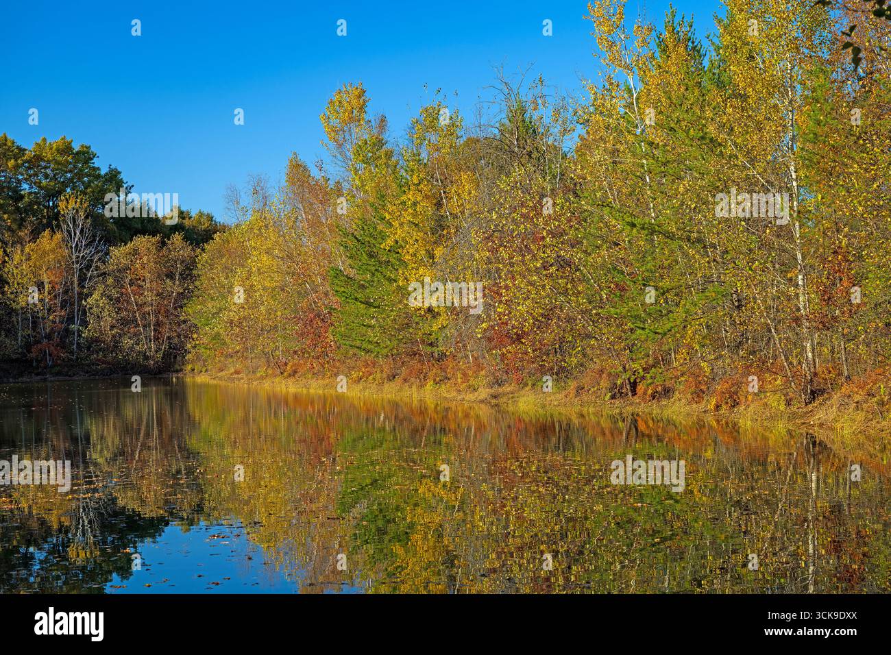 Reflets des couleurs changeantes en automne au Buckhorn State Park dans le Wisconsin Banque D'Images