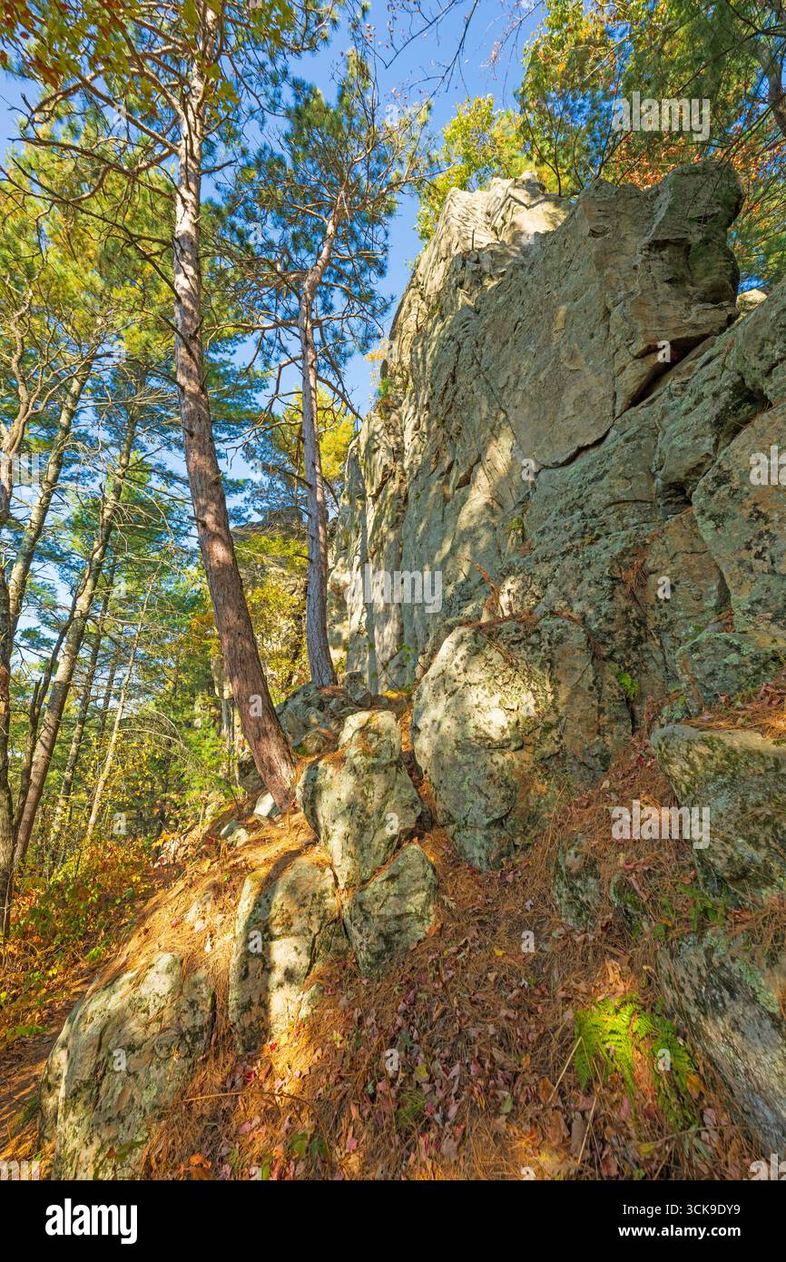 Arbres poussant sur les affleurements rocheux dans la forêt de Castle Mound dans le Wisconsin Banque D'Images