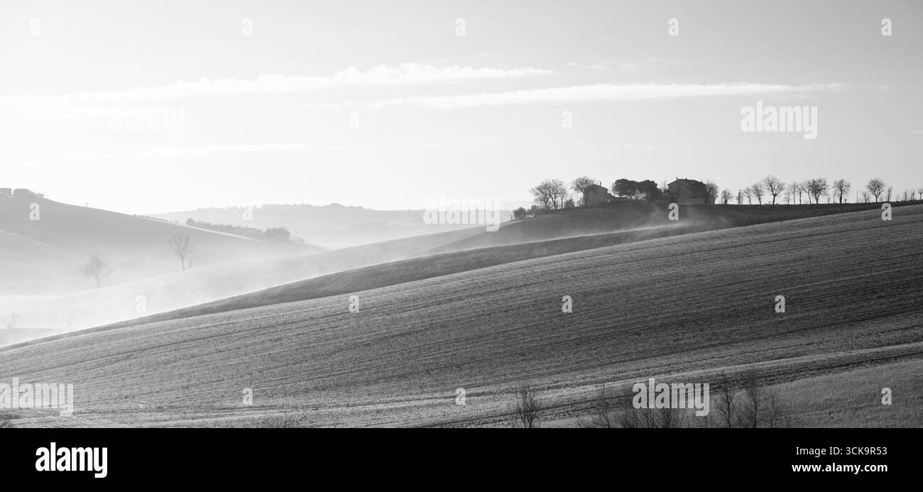 Marche collines à l'aube avec brouillard, photo noir et blanc Banque D'Images