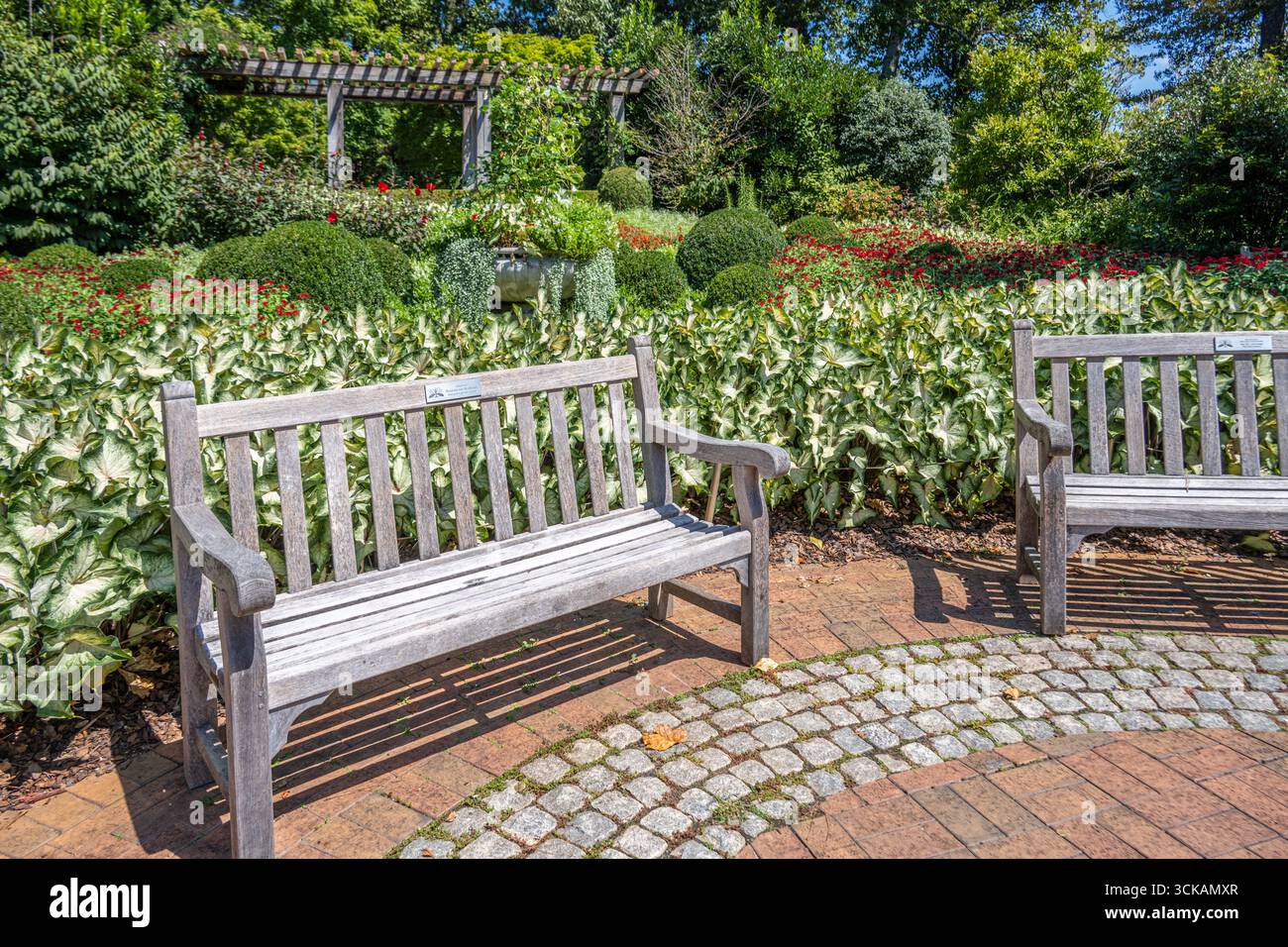 Bancs en bois dans le Levy parterre avec vue sur la tonnelle Alston Overlook à l'Atlanta Botanical Garden à Atlanta, Géorgie. (ÉTATS-UNIS) Banque D'Images