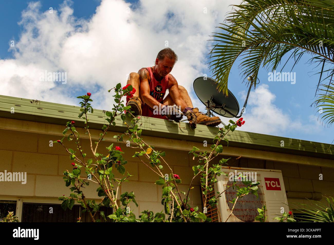 man tv fait planer des arbres sur le toit mains assises jetant quelques feuilles sur les gouttières nettoyer les gouttières du toit des débris laisse boucher la maison de travail reine Banque D'Images man tv fait planer des arbres sur le toit mains assises jetant quelques feuilles sur les gouttières nettoyer les gouttières du toit des débris laisse boucher la maison de travail reine Banque D'Images