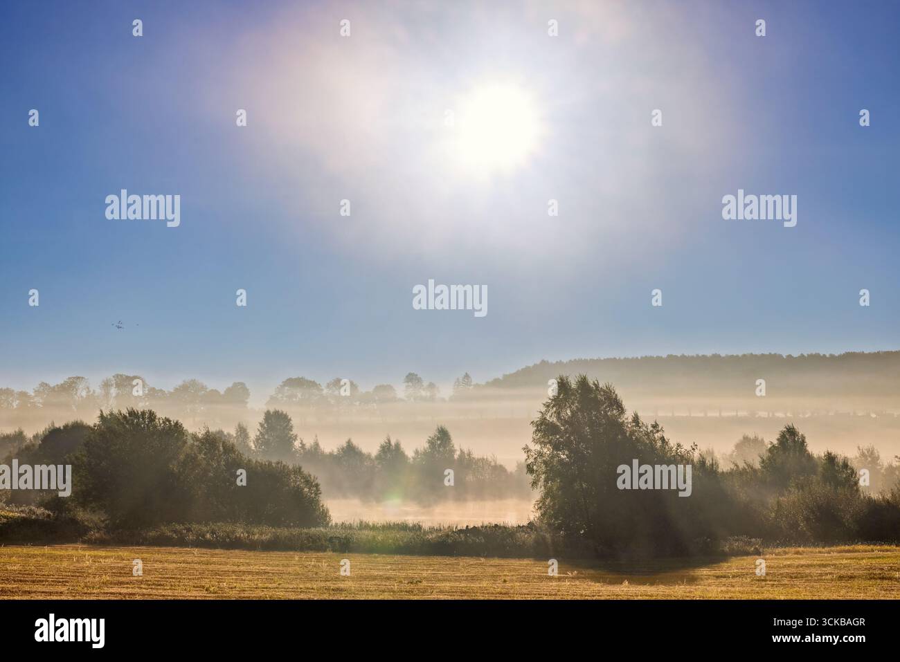 Brouillard du matin avec le soleil brille au-dessus d'une vue de paysage rural Banque D'Images