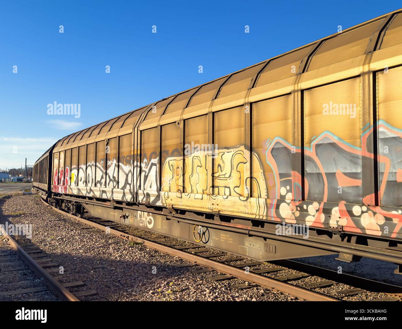 Wagons de marchandises avec des graffitis colorés au dépôt ferroviaire Banque D'Images
