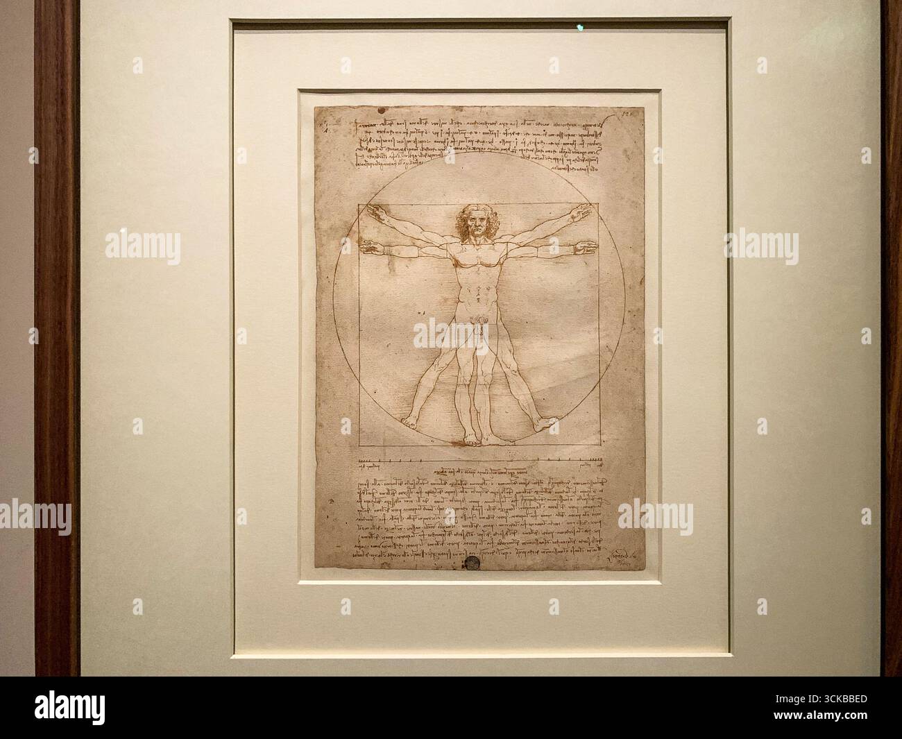 Musée du Louvre, Paris. 24 octobre 2019 : première heure d'ouverture de l'exposition historique Léonard de Vinci, dessin original du célèbre module de l'homme de Vitruve - Image de stock capturée avec un smartphone