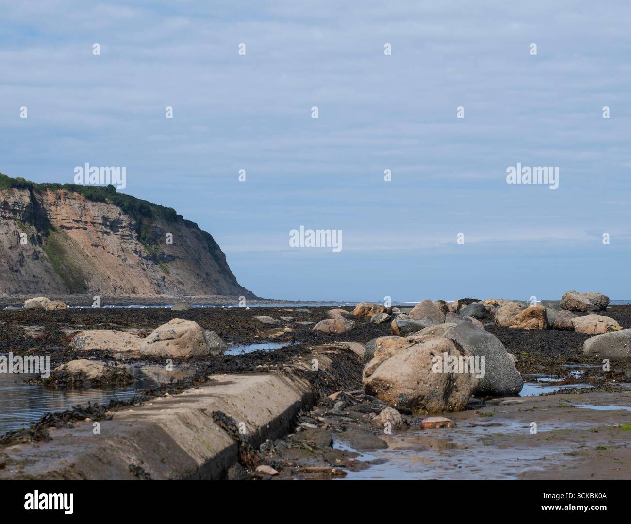 Vue sur la côte à Robin Hoods Bay North Yorkshire. Banque D'Images
