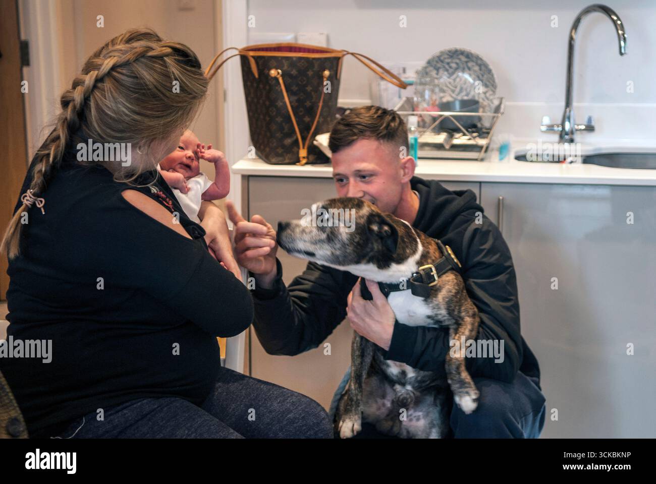 Chien de compagnie présenté pour la première fois à un nouveau-né premier bébé. Famille, jeune mère, bébé, père tenant le chien. Faire l'introduction, chien regardant incertain de ce qu'il voit. Wallington, South London, Angleterre 27 avril 2018 2010s Royaume-Uni Banque D'Images
