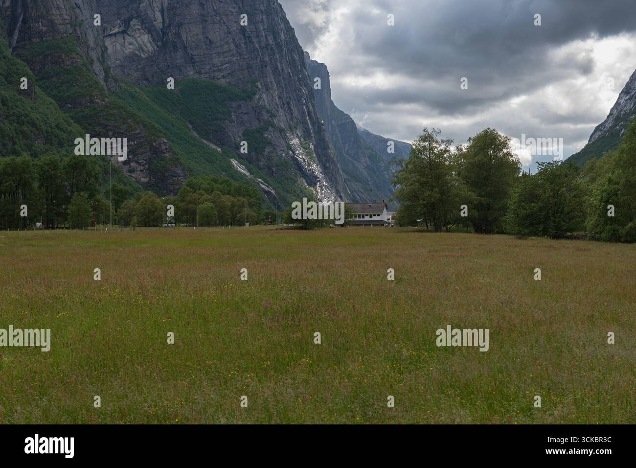 Une prairie herbeuse avec des fleurs sauvages et un petit bâtiment entouré d'arbres, situé contre des falaises abruptes avec de la végétation à Lysebotn, Norvège. Banque D'Images