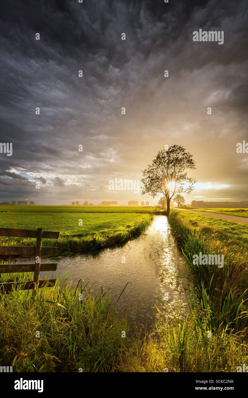 Un paysage hollandais typique sous le niveau de la mer avec des canaux et un ciel sombre Banque D'Images