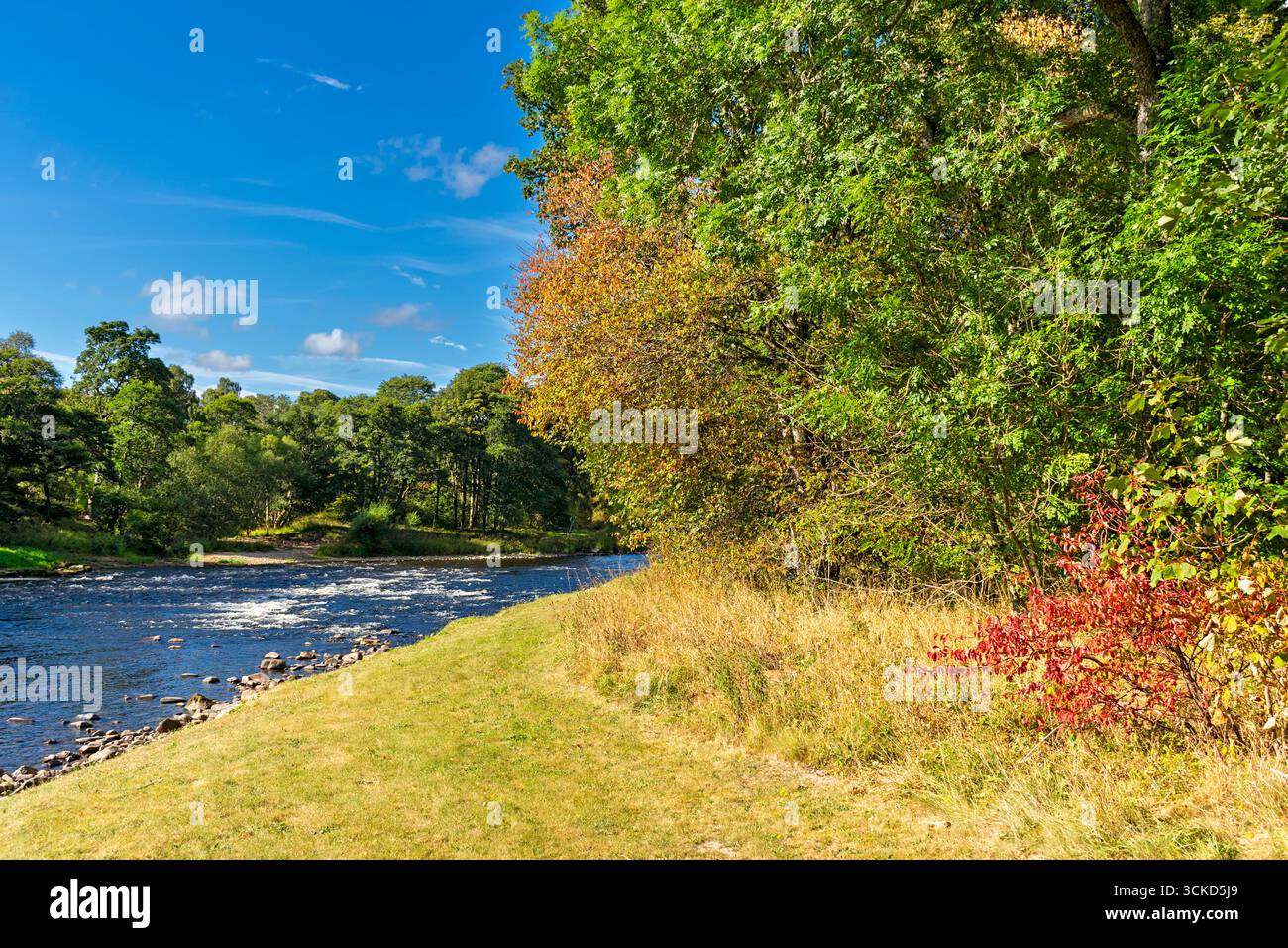 Aberlour Moray Écosse la rivière Spey près de Wester Elchies une piscine et des rapides à la fin de l'été Banque D'Images