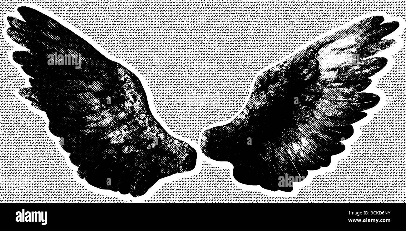 Ailes d'ange demi-teintes avec texture encrée pour la conception d'autocollants et collage multiples Illustration de Vecteur