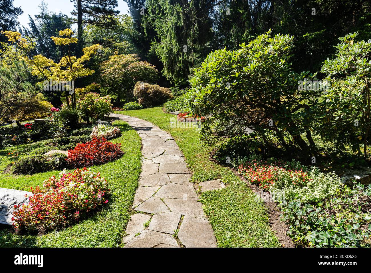Jardin et fleurs dans le paisible et ensoleillé cimetière Friedhof Fluntern, un site mémorial paisible à Zurich, Suisse. Banque D'Images