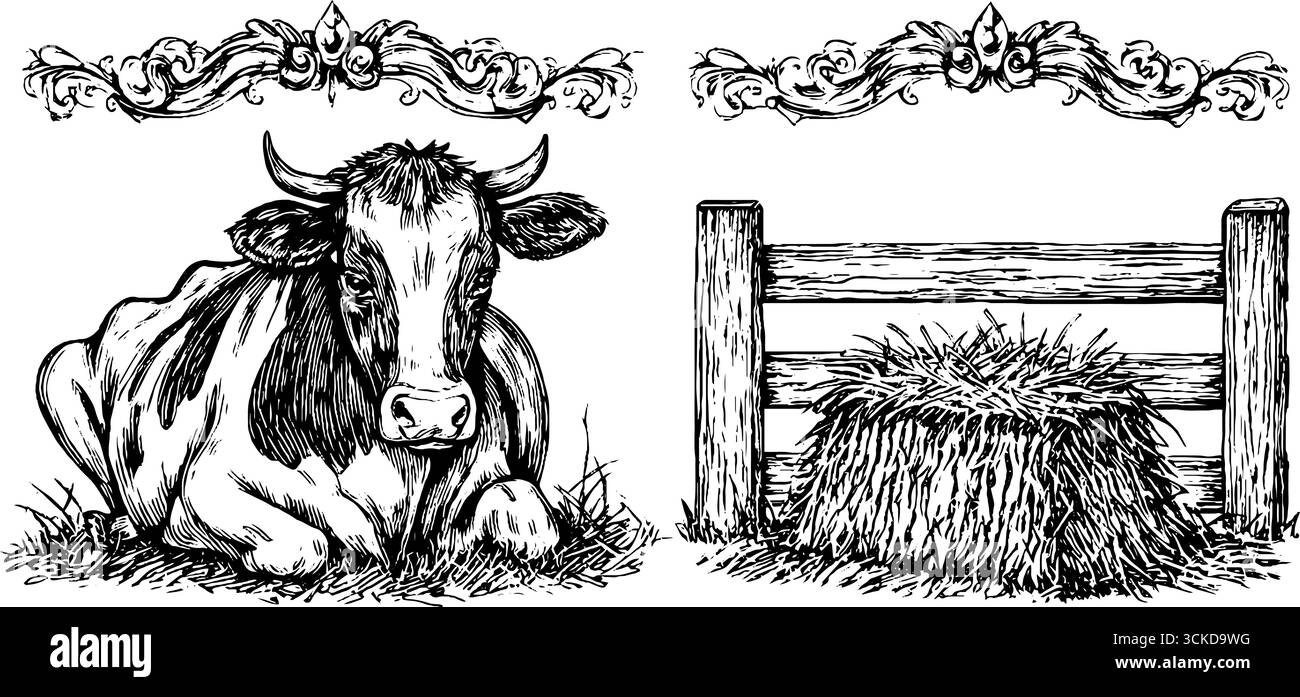 Gravure vintage de vache et balle de foin avec bordure ornée pour un design rustique. Illustration de Vecteur