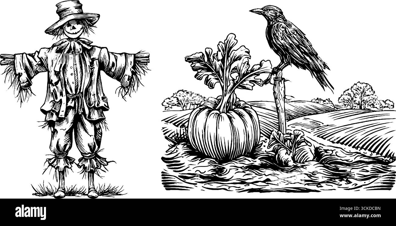 Ensemble d'illustration gravé dessiné à la main d'épouvantail et de carotte avec scène de paysage rural. Illustration de Vecteur