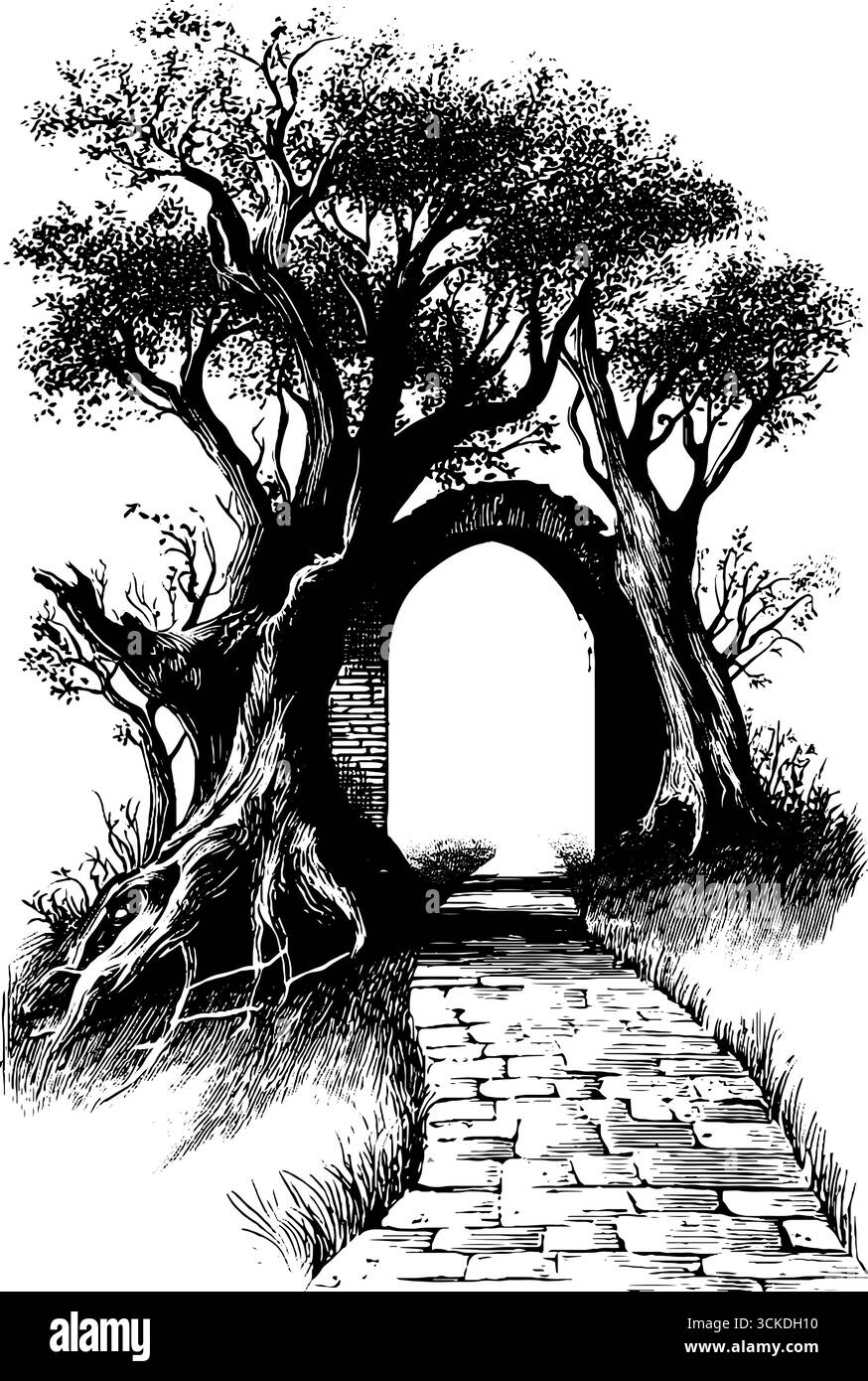 Illustration de passerelle de forêt enchantée pour la conception d'aventure fantastique. Illustration de Vecteur