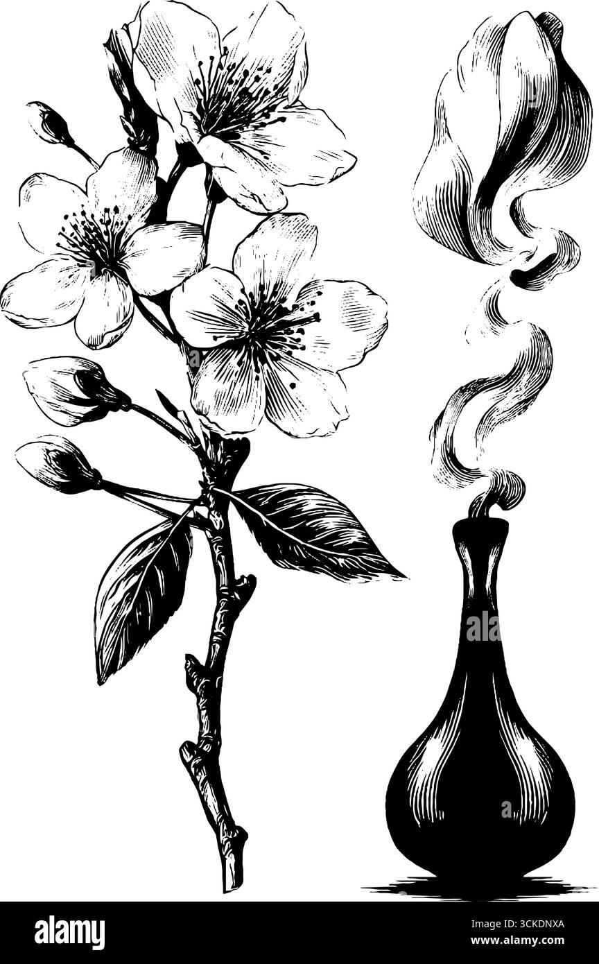 Motif floral et arôme gravé avec fleurs de sakura et flacon de parfum pour décoratif Illustration de Vecteur
