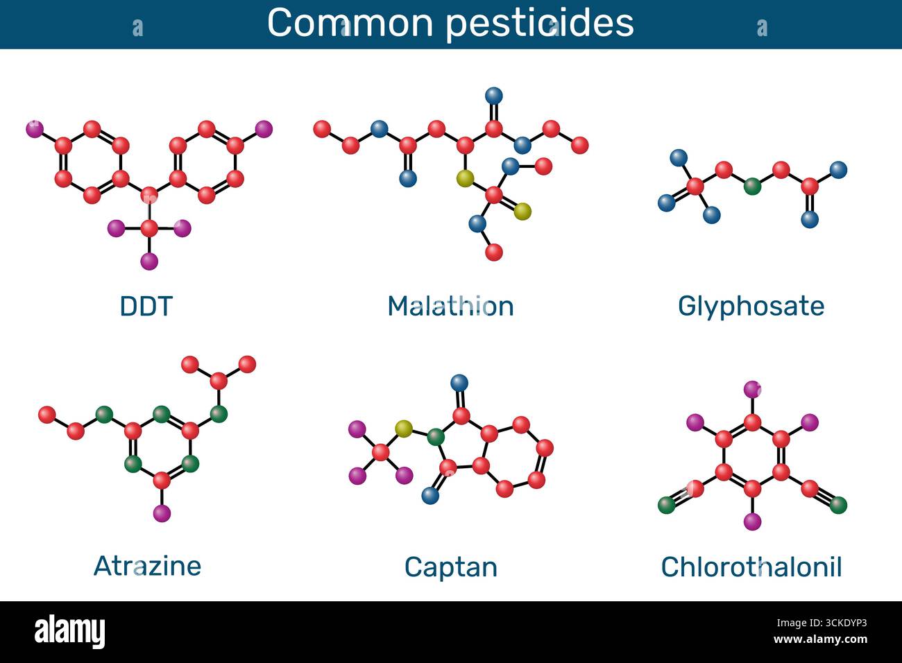 Molécule commune de pesticides. DDT, malathion, glyphosate, atrazine, captane, chlorothalonil Illustration de Vecteur Molécule commune de pesticides. DDT, malathion, glyphosate, atrazine, captane, chlorothalonil Illustration de Vecteur