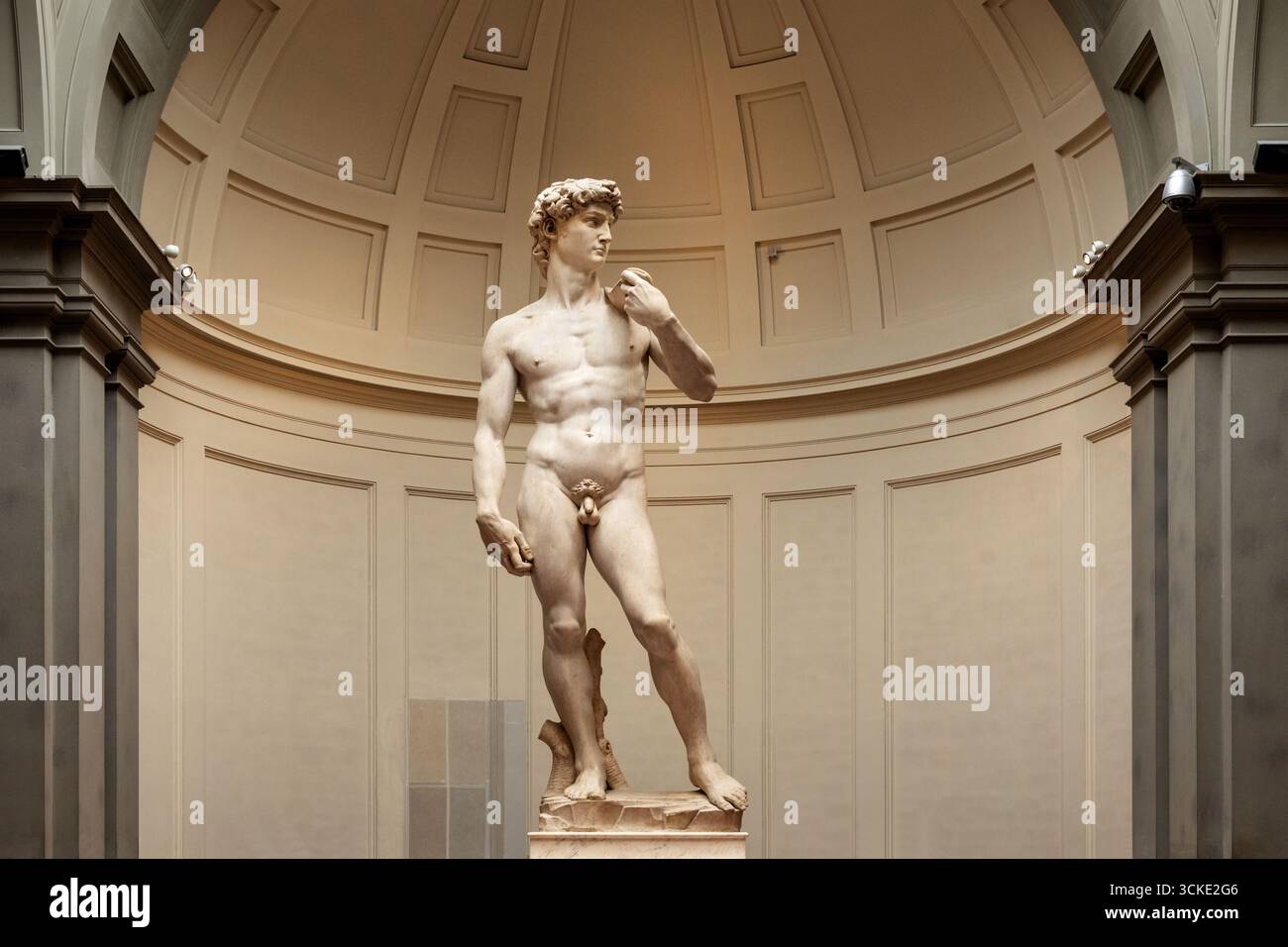 David est un chef-d'œuvre de la sculpture de la Renaissance italienne en marbre créé de 1501 à 1504 par Michel-Ange, dans la Galleria dell'Accademia, Florence. Banque D'Images