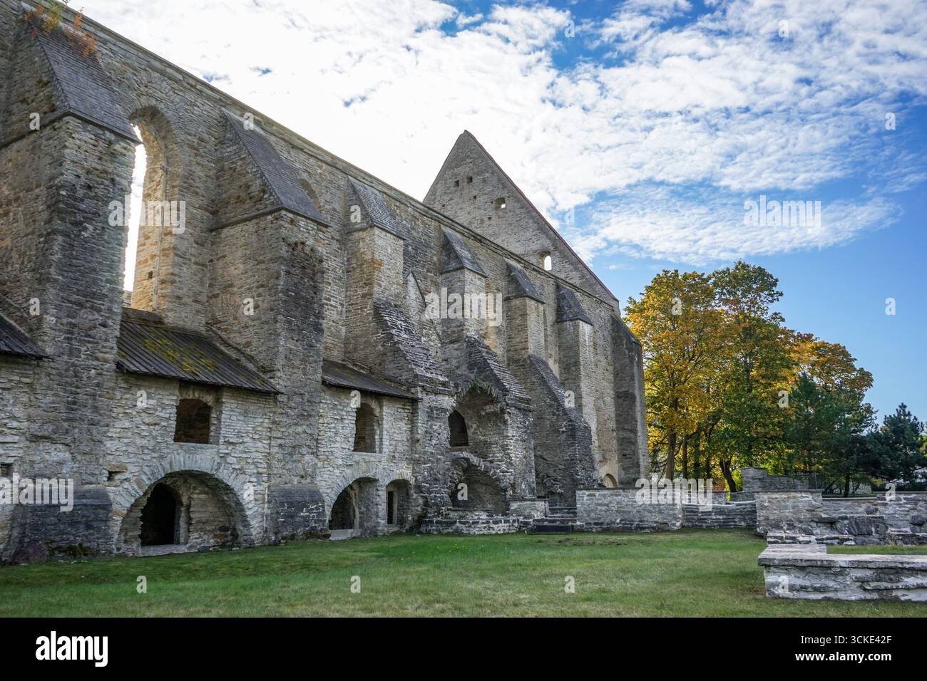 Ruines du couvent de Pirita à Tallinn, Estonie Banque D'Images