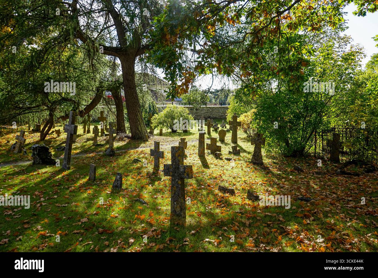 Vieux cimetière près du couvent Pirita à Tallinn, Estonie Banque D'Images