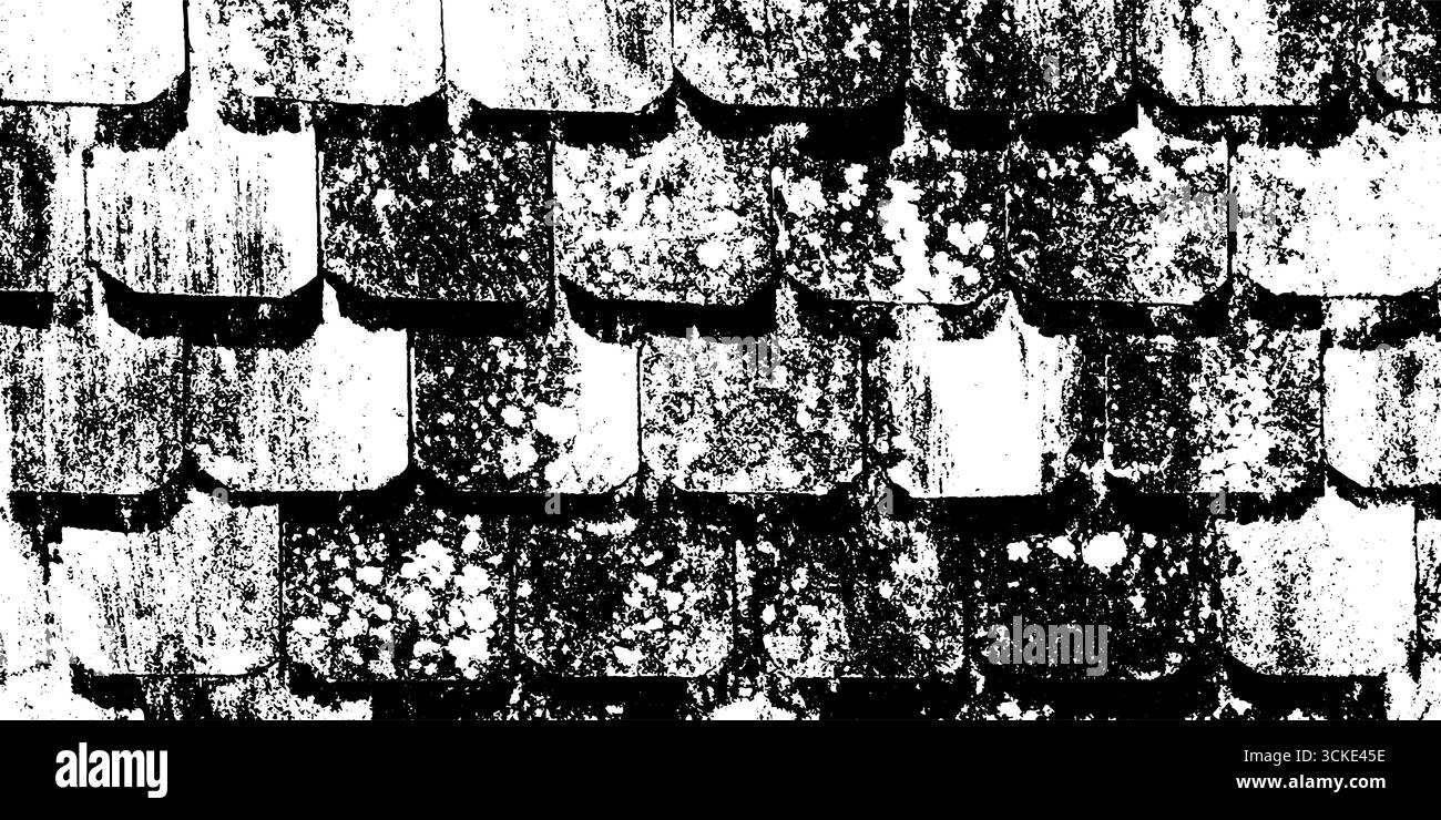 Motif d'ardoise de toit en tuiles avec des patchs de lichen pour la conception de superposition grunge texturée. Illustration de Vecteur