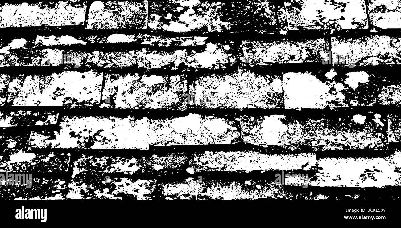 Toit en ardoise carrelée noire et blanche avec texture lichen pour la conception de fond en détresse. Illustration de Vecteur