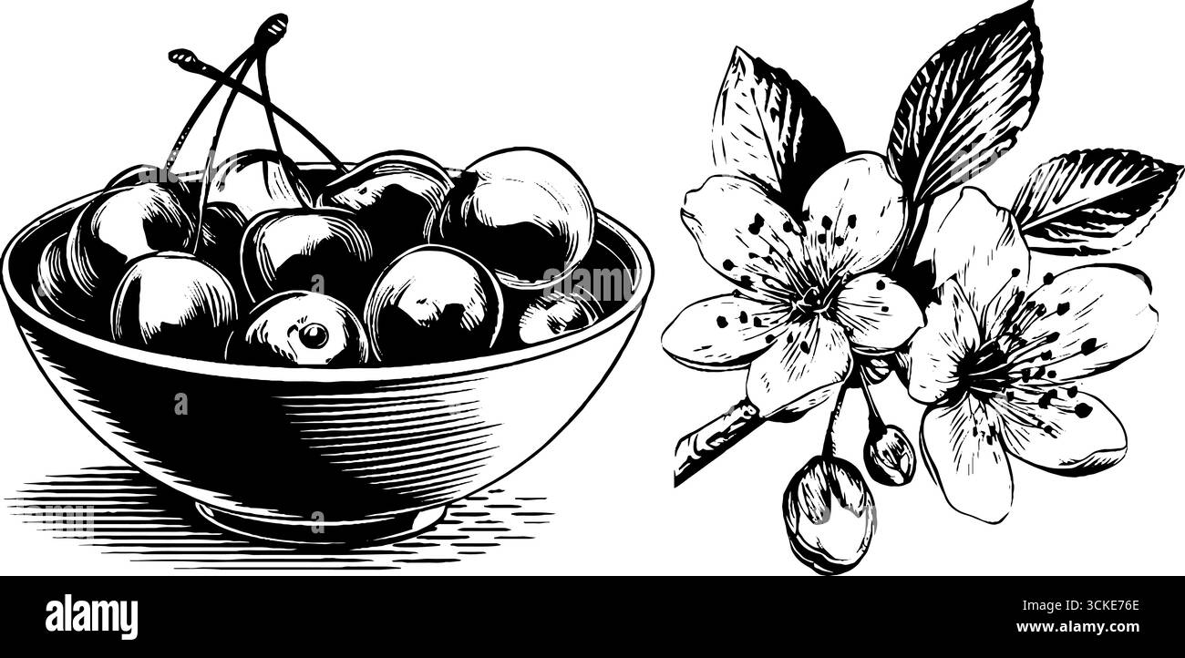 Ensemble d'illustration vintage gravé de bol de cerisier et de fleurs pour un design rétro. Illustration de Vecteur