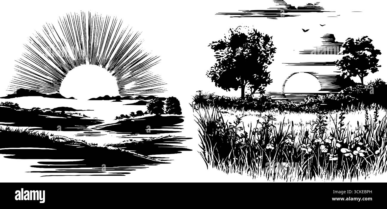 Scènes de lever de soleil vintage sur prairie avec des arbres et des fleurs. Illustration de Vecteur