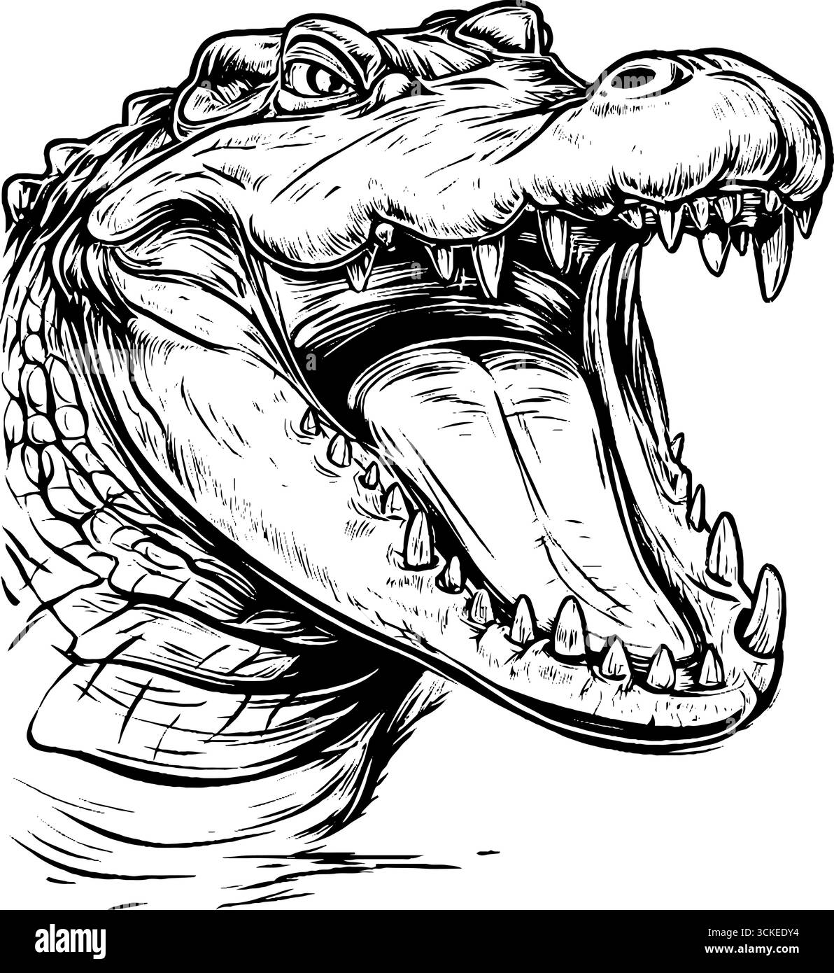 Croquis de tête d'alligator vintage - gravure rétro dessinée à la main pour les projets de conception. Illustration de Vecteur